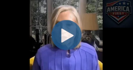 Hillary Clinton Admits Trump’s Leadership Brings “Common Ground” with Allies