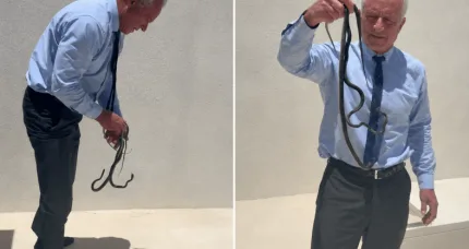 MUST WATCH: RFK Jr. Just Caught Two Snakes With His Bare Hands…